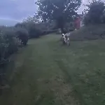 La Del Abuelo En La Aldea Cerca Del Mar